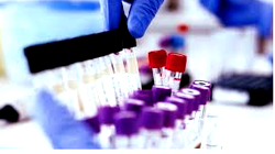 FG orders mandatory drug testing for public service applicants