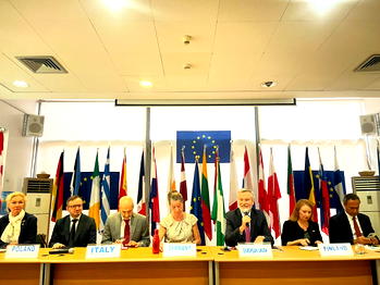 EU pledges support for Nigeria’s fight against insecurity