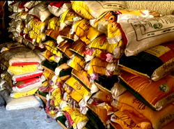 Yuletide: Firm, NEPL/NDW OML34 distributes food items to host communities in Delta