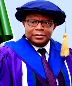 Wike commends Tinubu on appointment of Prof. Orluwene as UPTH CMD