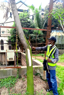 Ogijo lead poisoning: Ogun suspends three environmental firms over negligence