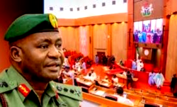Musa to Senate: Unified national database key to ending Nigeria’s security crisis