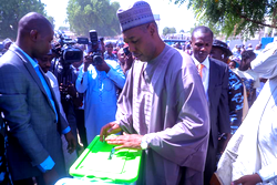 Borno LG elections: Zulum, Senator Shehu, Rahis cast votes amidst massive turnout