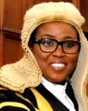 APC chieftain makes case for Okitipupa indigene to replace Sen. Ibrahim