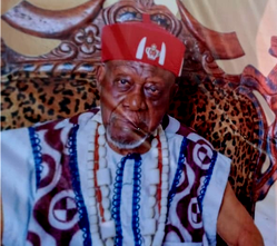 Shock in Enugu as monarch dies a day before 90th birthday