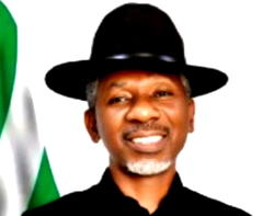 Security: Onuakalusi tasks FG on urgent need to lights up communities