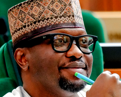 Rep Dasuki urges Tinubu to appoint retired military officers as ambassadors to strategic nations