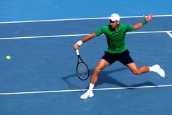 Djokovic scrapes into Australian Open semi-finals after Musetti injury