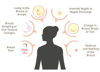 Breast cancer: Personalised screening better than annual mammograms’ — Study