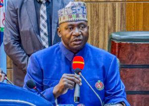 Jilli airstrike: No innocent victims —Defence Minister