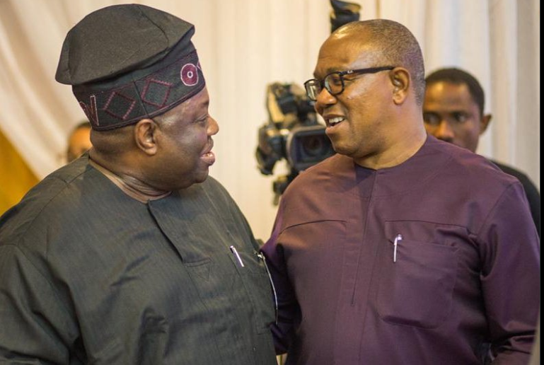 Calling Obi ‘best of us’ is an insult to other ADC leaders  —  Momodu tells Obidients