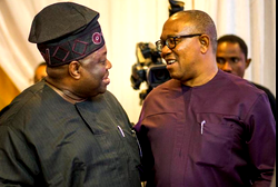 Calling Obi ‘best of us’ is an insult to other ADC leaders  —  Momodu tells Obidients