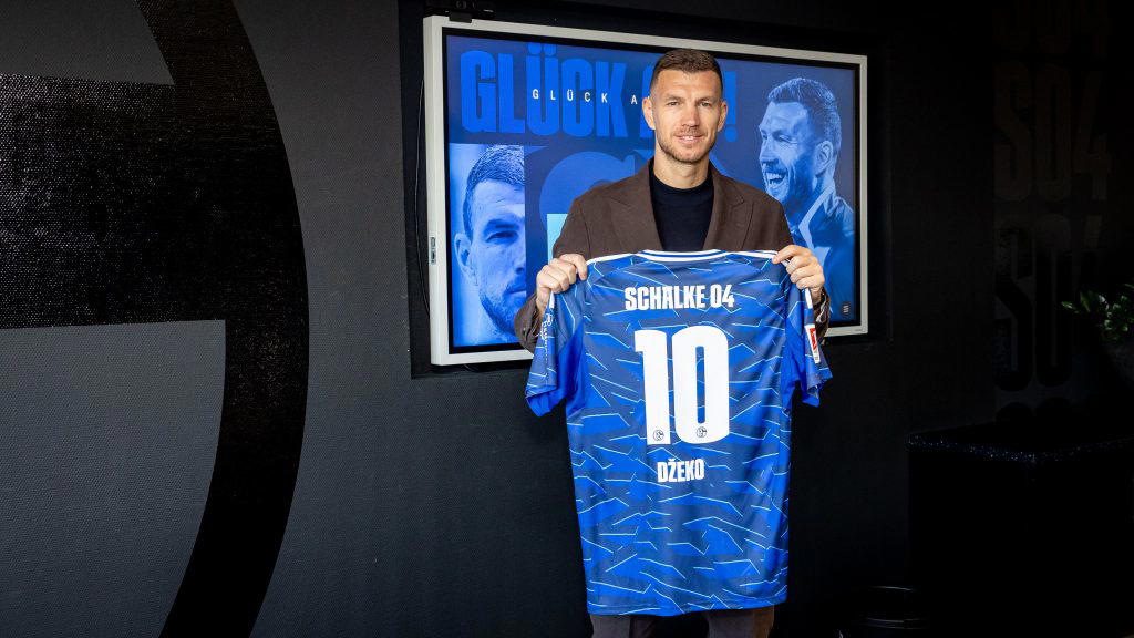 Veteran Dzeko joins Schalke on six-month deal