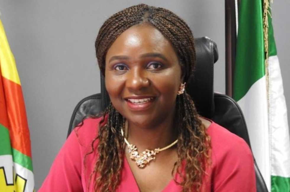 FG woos global investors to invest in 50 oil blocks under 2025 licensing round