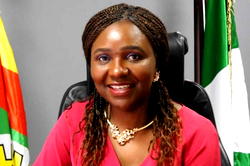 FG woos global investors to invest in 50 oil blocks under 2025 licensing round