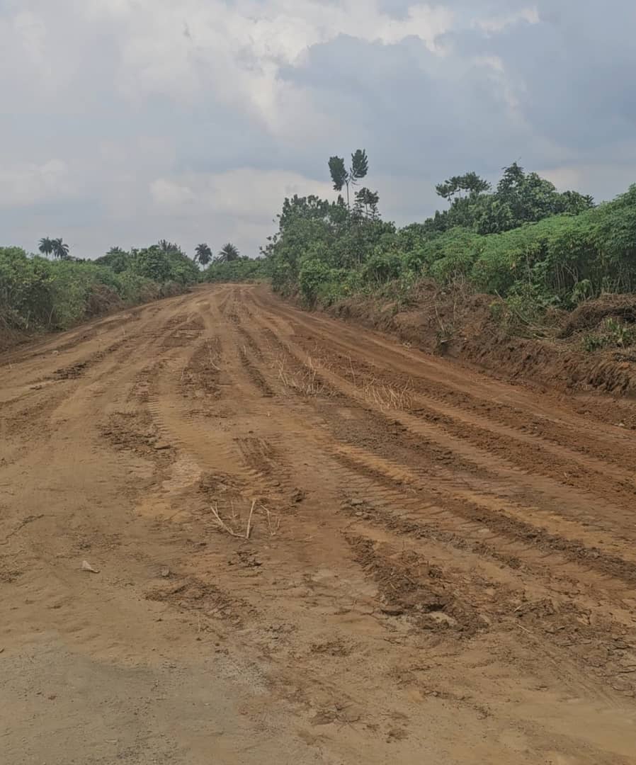 Eleme Kingdom transforms under King Appolus Chu’s visionary leadership