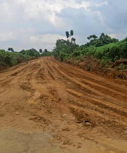 Eleme Kingdom transforms under King Appolus Chu’s visionary leadership