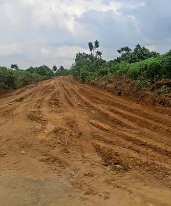 Eleme Kingdom transforms under King Appolus Chu’s visionary leadership