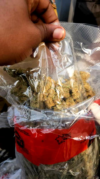 Customs, NDLEA intercept 347.5 kg of Canadian loud smuggling attempt at Lagos Port