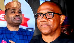 Any Obi supporter not in ADC is ‘DisObidient’ — Kenneth Okonkwo