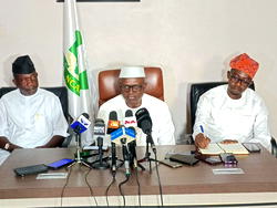 Nigeria’s cashew industry holds $10bn annual revenue potential – NCAN