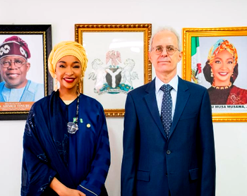 Turkey identifies 76 Nigerian artifacts, moves begin for repatriation