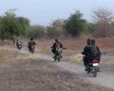 Again, troops neutralise suicide bombers in Borno