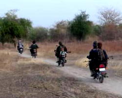 Again, troops neutralise suicide bombers in Borno