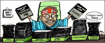 Cartoon: Happy New dividend of Nigerian democracy