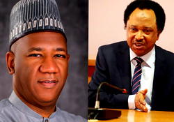 Shehu Sani faults backlash against Baba-Ahmed over 2027 ambition