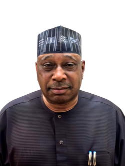 Wike names Sani Daura Head of Protocol