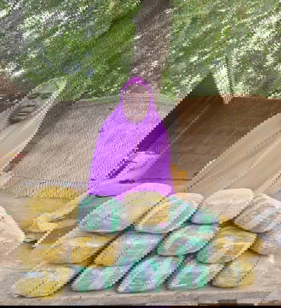 Troops arrest 65-year-old woman suspect supplying drugs to Boko Haram terrorists