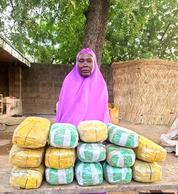 Troops arrest 65-year-old woman suspect supplying drugs to Boko Haram terrorists