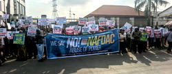 Sachet alcohol ban: Consumer rights groups threaten shutdown of NAFDAC offices