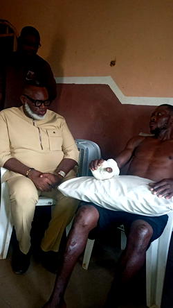 ASEPA disowns taskforce member over machete attack, reaffirms ban on cattle roaming in Umuahia