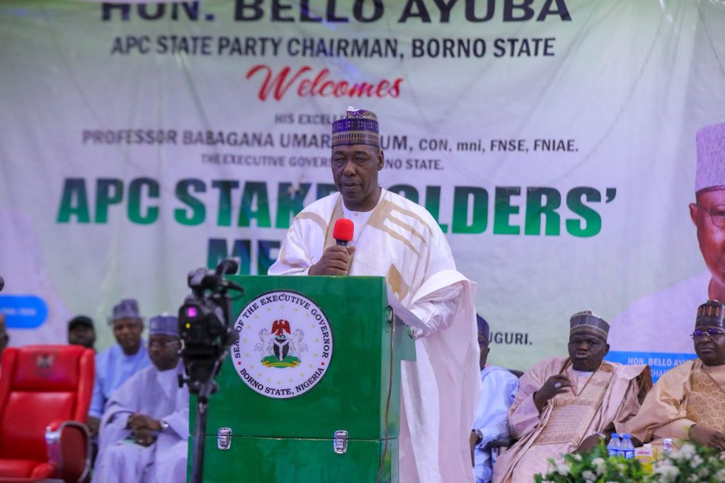 2027: I don’t know my successor – Zulum