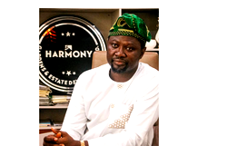 Why Smart Investors are flocking to Harmony Gardens (Ogba-Idunnu)