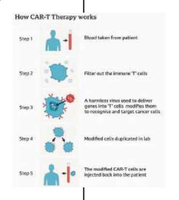 First adult patient receives genetically modified ‘living drug’ for leukemia