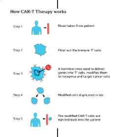 First adult patient receives genetically modified ‘living drug’ for leukemia