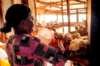 SHE FARMS empowers 100 women with disabilities in Cross River