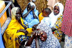 5 soldiers killed, many injured in Boko Haram suicide attack in Borno