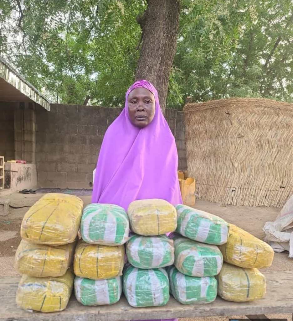 Military arrests 65-yr-old woman supplying drugs to Boko Haram