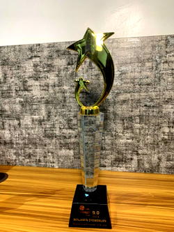 Platnova CEO bags Humanitarian Personality of the Year at Cool Wealth Awards