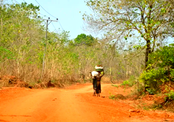 LG administrators in S-East failing rural people —Indigenes