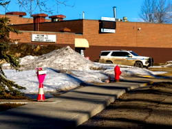 Canada police say 18-year-old carried out mass shooting