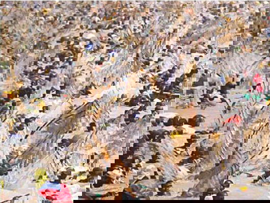 Visa, air reforms lead African tourism agenda