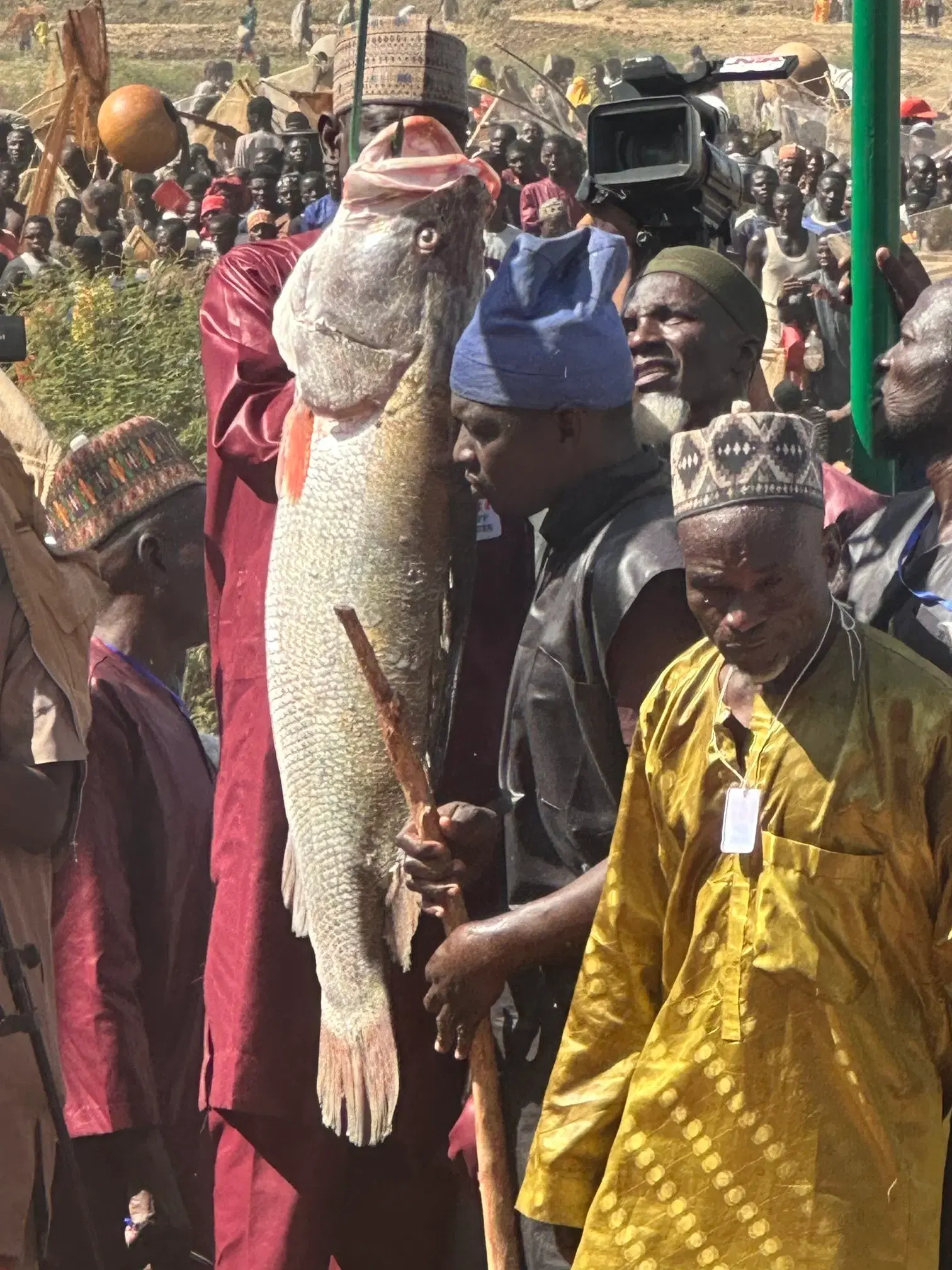Argungu Festival: Winner with 59kg fish gets Toyota cars, N1m