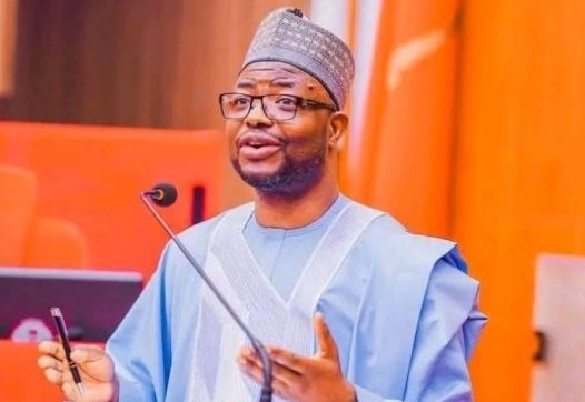 15 million households to get FG cash support — Minister