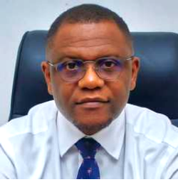 How to make FCT polls credible – Idowu