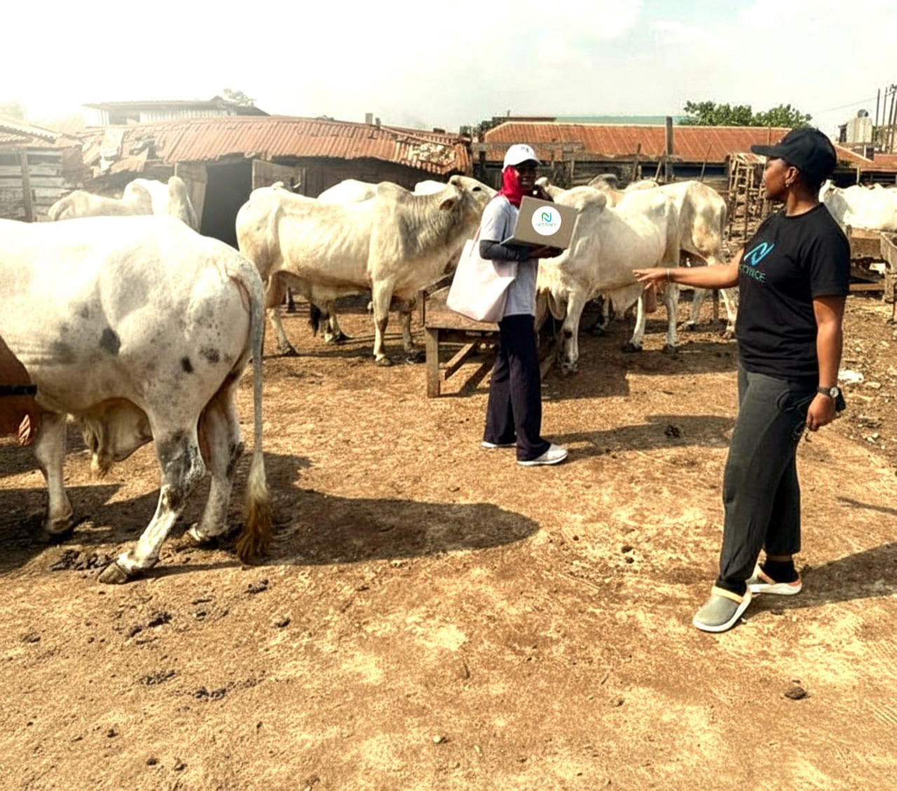Netzence, Ministry of Livestock Development detect rapid seasonal Methane spikes in iivestock systems